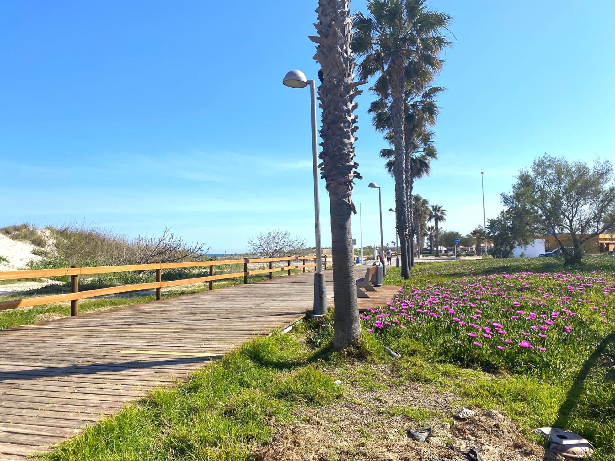 Precioso Apartamento A Tan Solo 300 M De La Playa Pilar de la Horadada Εξωτερικό φωτογραφία